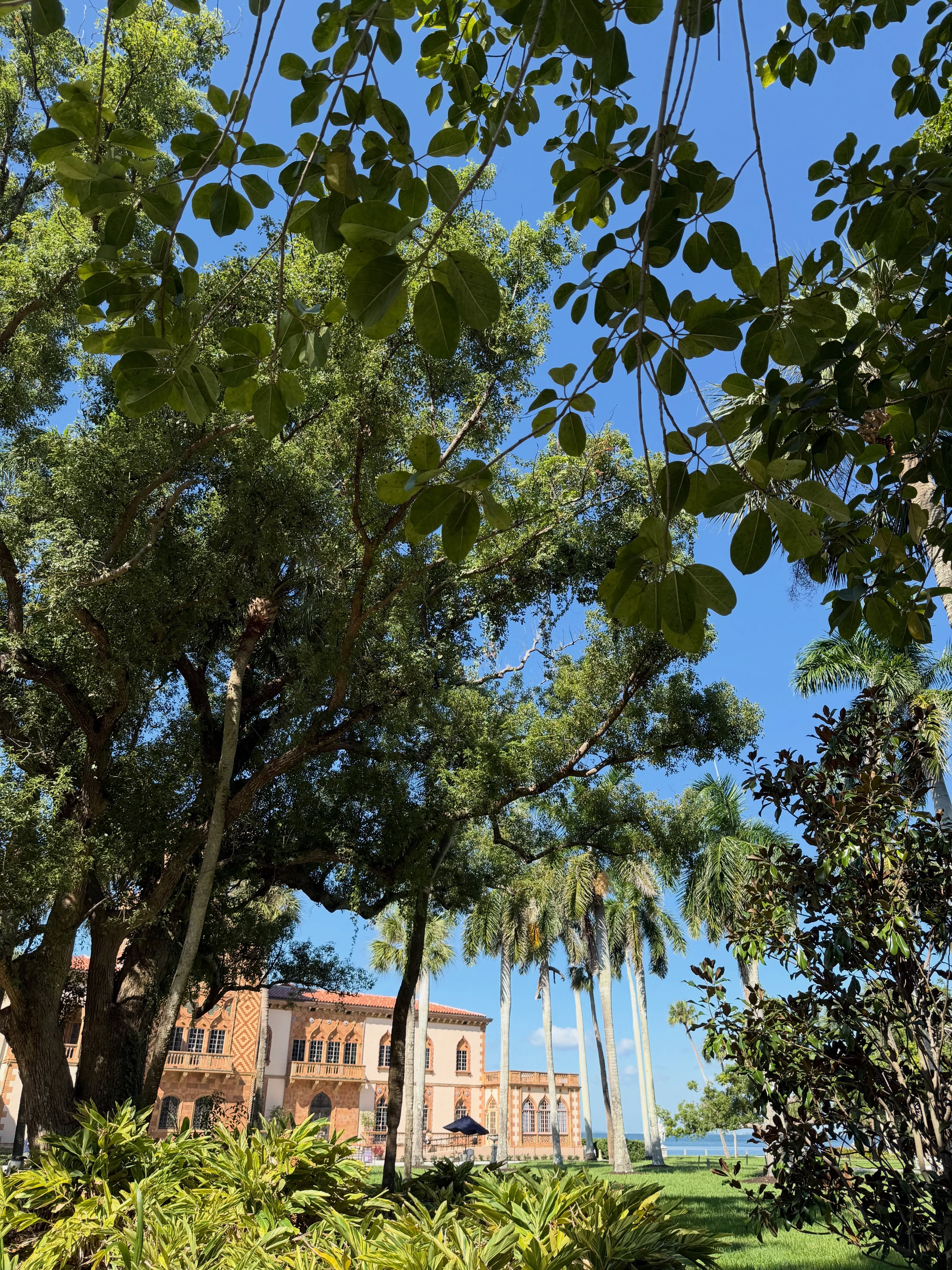 10 月佛羅里達慢活之旅：Ringling Museum 現場影像 6